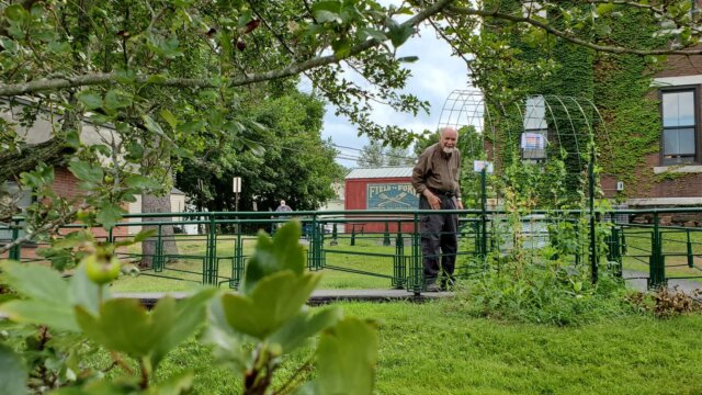 Bill-in-the-garden
