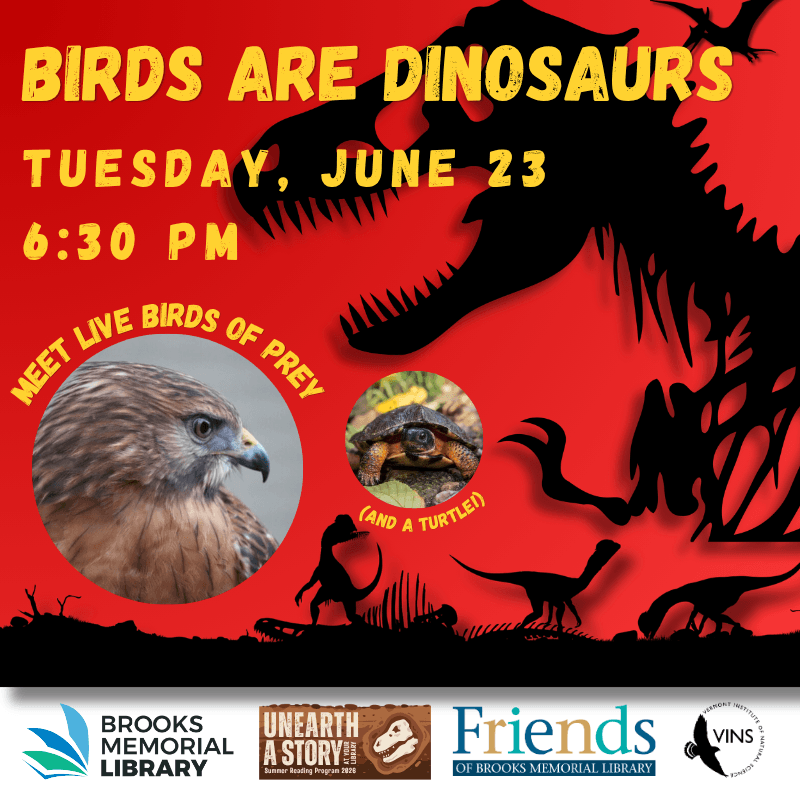 Birds Are Dinosaurs — Meet Live Birds of Prey with VINS!