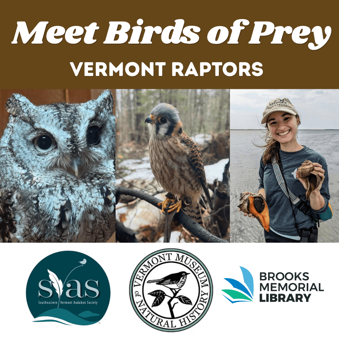 “Birds of Prey” with the SEVT Audubon Society